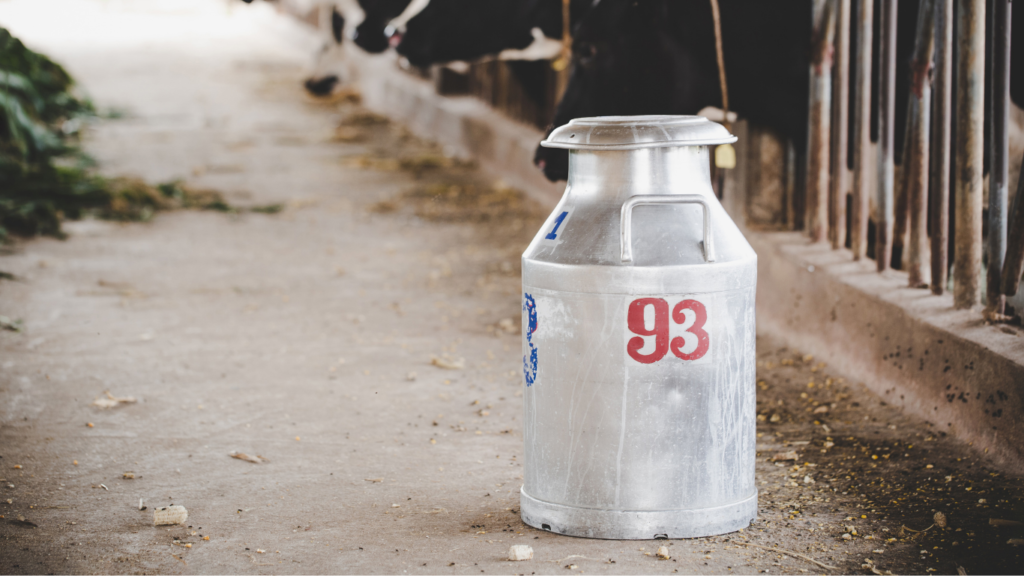 Truth of Dairy Industry in India: Hidden Cruelty Behind Milk